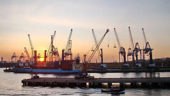 インドの国際的な海洋の貨物運送業者の海洋貨物船積みウィークリーへの中国