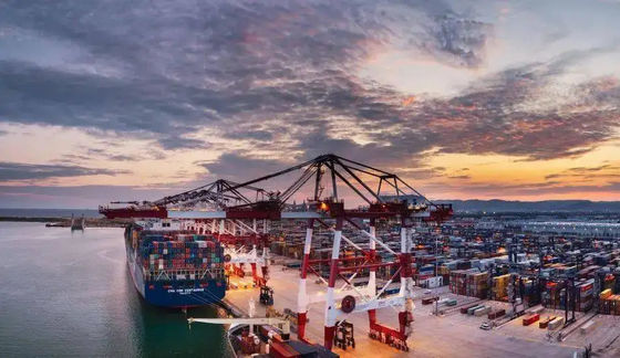 海の貨物運送業者の中国からのベトナムへの国際的な海洋の貨物運送業者