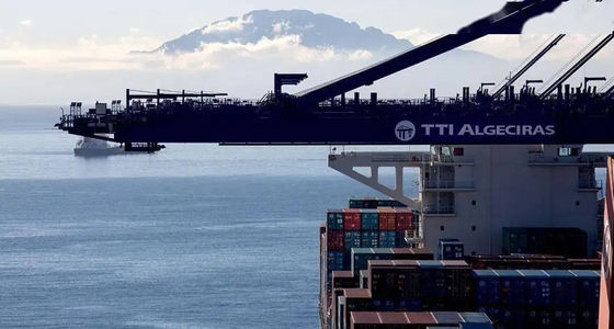 EXWのシンガポールへの国際的な海洋の貨物運送業者南京上海