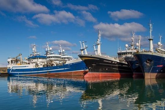 中国は中国からのヨルダンに国際的な海洋の貨物運送業者を左舷に取る