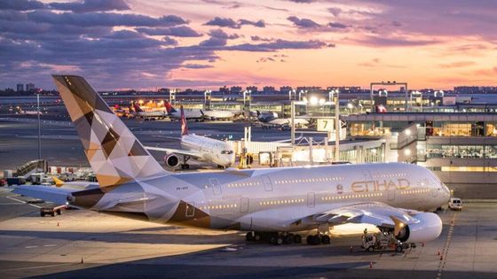 良い価格 NVOCCインドへの国際的なFCLの航空貨物中国 オンライン