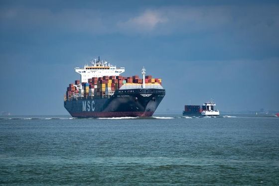 良い価格 シー エアー トルコへの各戸ごとの貨物促進の貨物運送業者中国 オンライン