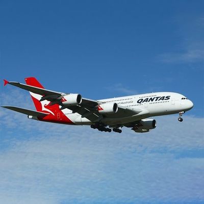 品質 1停止サービス航空貨物の船積み 工場