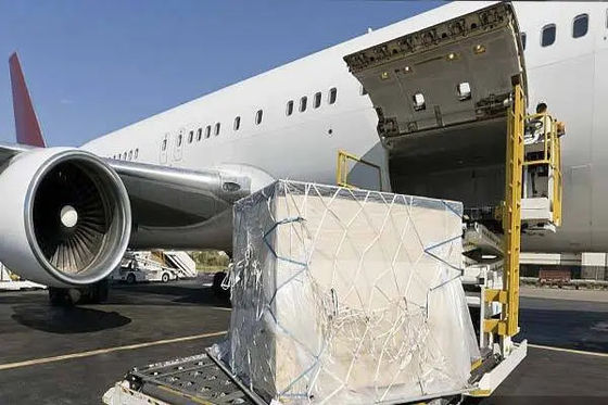 品質 中国からの米国への十分なスペース国際的な航空貨物の運送業者 工場