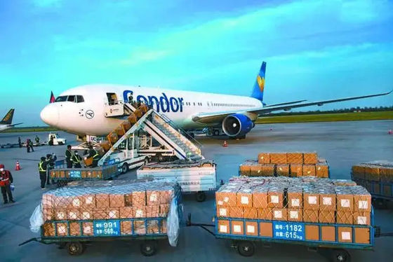 品質 1日中米国へのDGの貨物航空貨物の運送業者中国 工場